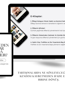 Sakin Güç Programı